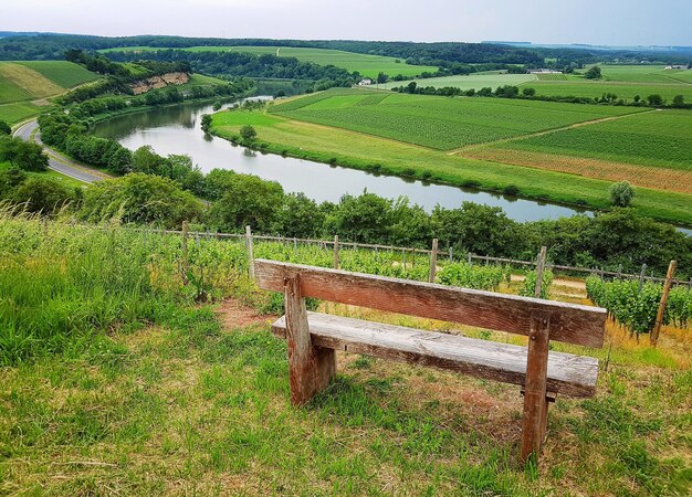 Zdjęcie widok na pole rolnicze