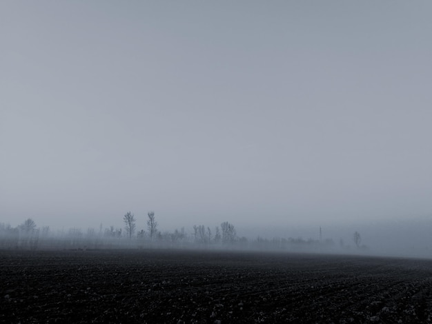 Zdjęcie widok na pole w mglistą pogodę