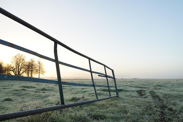 Zdjęcie widok na pole w tle czystego nieba