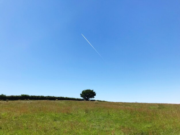 Zdjęcie widok na pole w tle czystego nieba