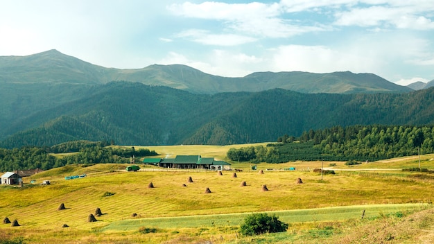 Widok na pole wśród gór