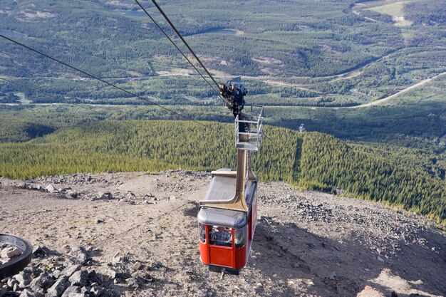 Zdjęcie widok na pole