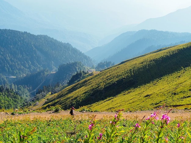 Widok na południowe zbocze Rosa Peak w Soczi latem