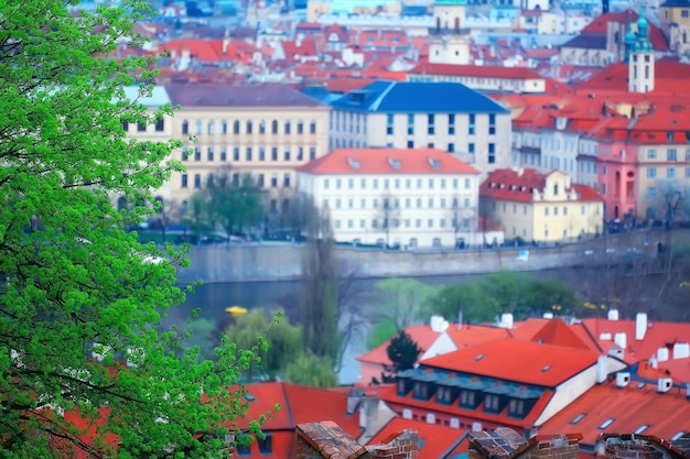 Widok Na Pragę / Panoramiczny Krajobraz Republiki Czeskiej, Widok Na Pragę Z Czerwonymi Dachami Domów Z Góry, Krajobraz W Europejskiej Stolicy