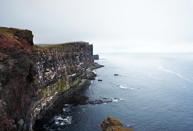 widok na ptasie klify Islandii zielona trawa i krajobraz Północnego Atlantyku Latrabjarg