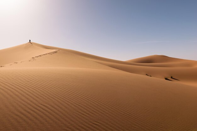 Zdjęcie widok na pustynię erg chebbi na tle nieba