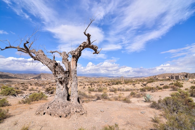 Widok na pustynię Tabernas w prowincji Almeria w Hiszpanii