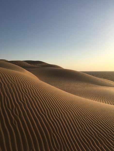 Zdjęcie widok na pustynię w tle czystego nieba