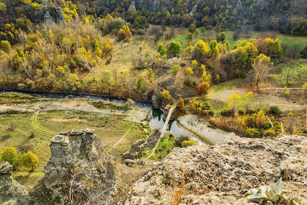 Widok na rzekę i drzewa