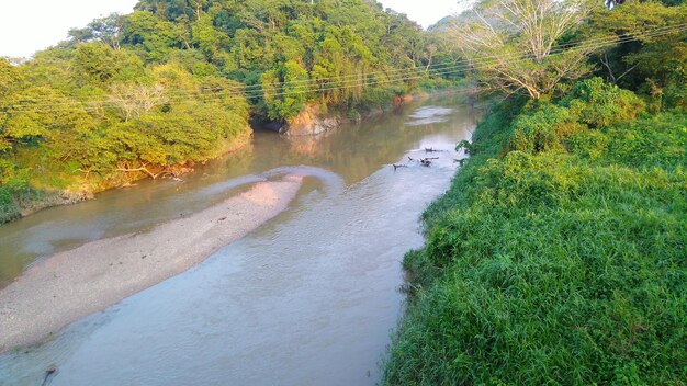 Zdjęcie widok na rzekę