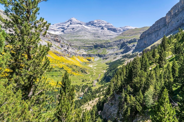 Zdjęcie widok na schody soaso i wodospad końskiego ogona w tle w parku narodowym ordesa i monte perdido aragon huesca hiszpania