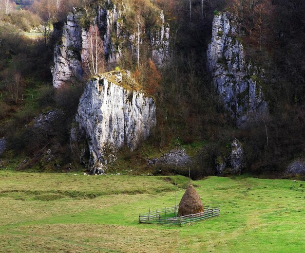 Widok Na Skały Na Lądzie