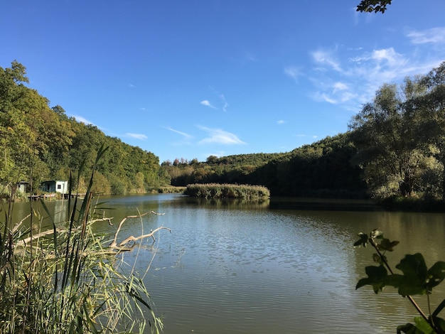 Widok na spokojne jezioro