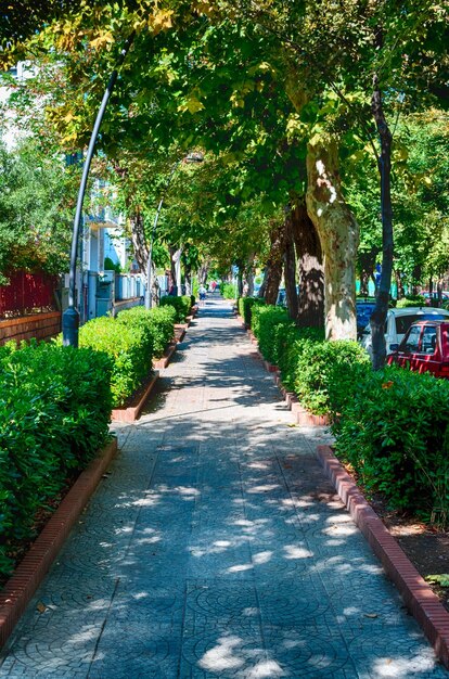 Widok na starożytną wioskę nad rzeką