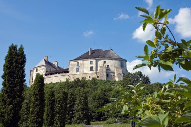 Zdjęcie widok na stary zamek w słoneczny dzień