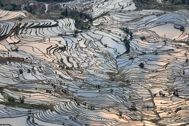 Zdjęcie widok na tarasy ryżowe w hrabstwie yuanyang