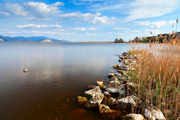 Widok na Torre del lago