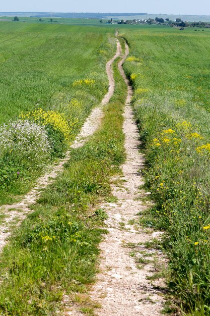 Widok Na Trawiaste Pole