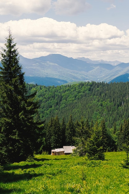 Widok na ukraińskie Karpaty. Zdjęcie natury i letnich gór