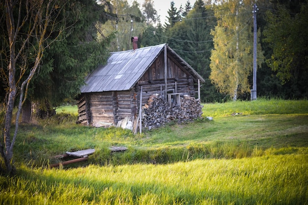 Widok na wiejski krajobraz z drewnianą chatą z bali otoczoną drzewami