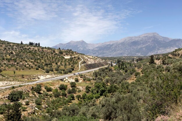 Widok na wiejskie winnice i gaje oliwne w górach Grecja Kreta Wyspa