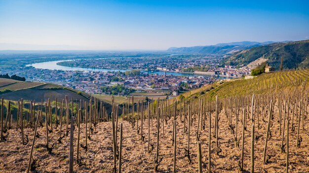 Widok na winnice Chapoutier w Tain l'Hermitage, z miastem i doliną Rodanu