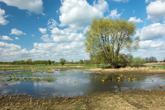 Widok na wodę na łące na tle chmurnego nieba