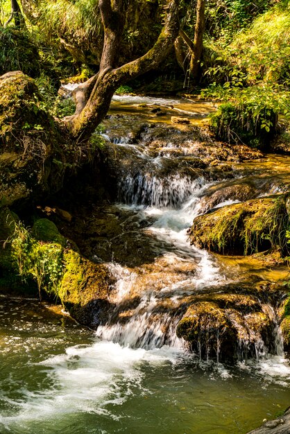 Widok na wodospad Gostilje na górze Zlatibor w Serbii