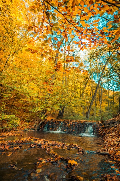 Widok na wodospad jesienią. Wodospad w jesiennych kolorach głęboko w lesie. Spokojne kolorowe liście