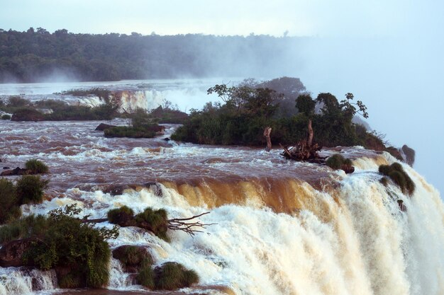 Widok na wodospady Iguassu