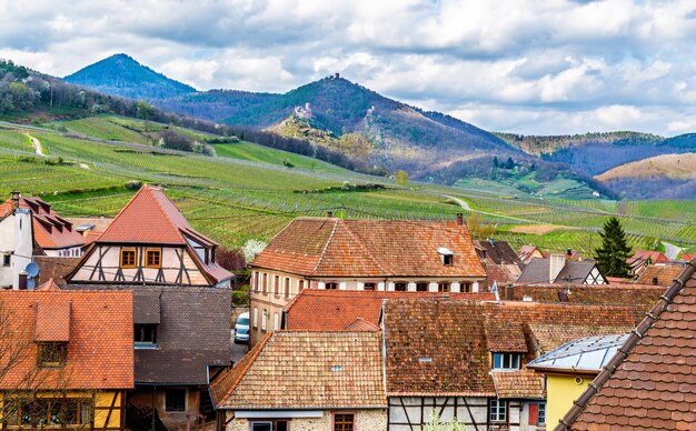Widok na Wogezy ze wsi Hunawihr - Alzacja, Francja