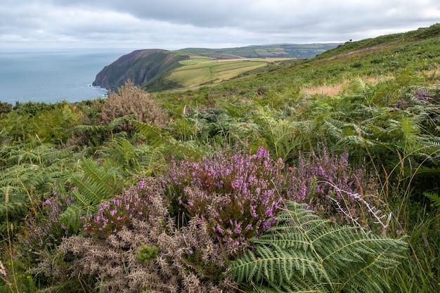 Widok na wybrzeże Devon w pobliżu Combe Martin