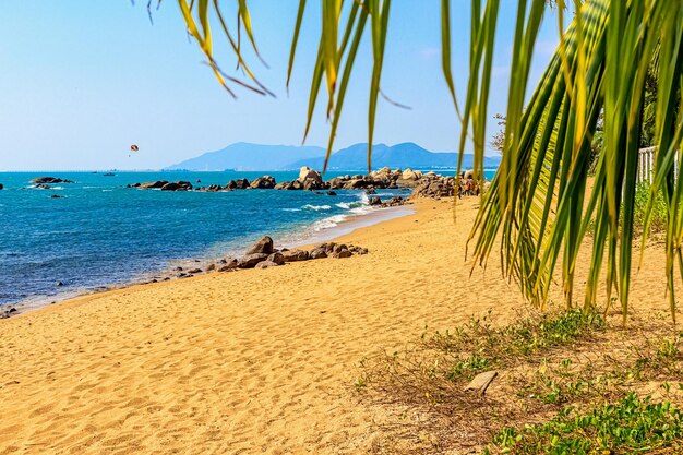 Zdjęcie widok na wybrzeże morza południowochińskiego z piaszczystej plaży, dużymi skałami i zielonymi palmami.