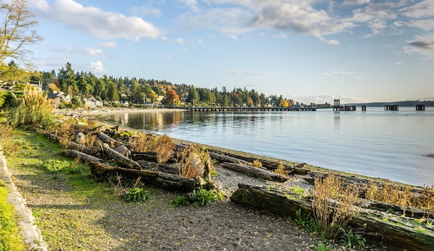 Widok Na Wybrzeże W Pobliżu Terminalu Promowego W Zachodnim Seattle W Waszyngtonie