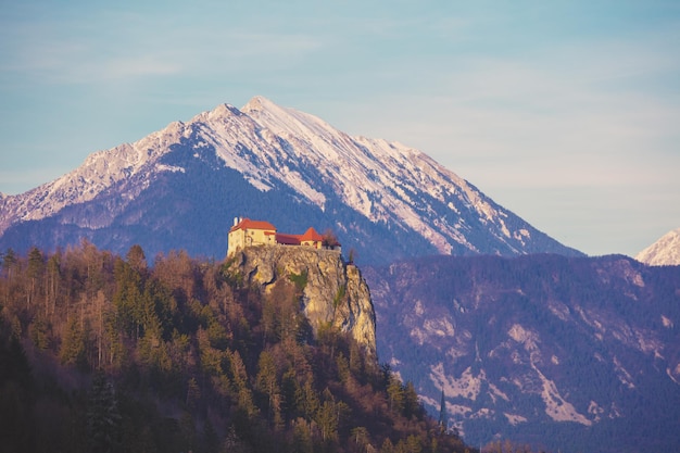 Widok na zamek Bled na tle ośnieżonych gór z jeziora Bled