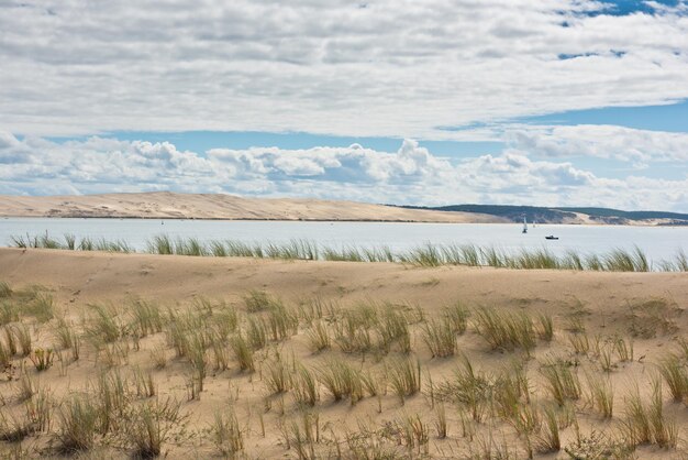 Widok na zatokę Arcachon i Duna Pyla, Akwitania, Francja