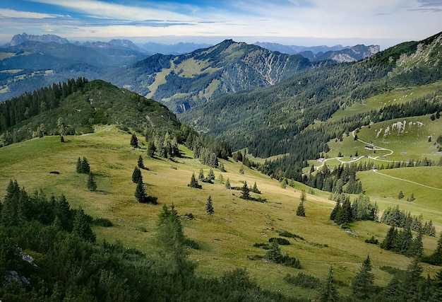 Widok na zielony krajobraz