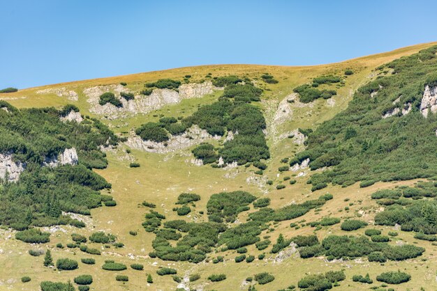 Widok od Bucegi gór, Rumunia, Bucegi park narodowy