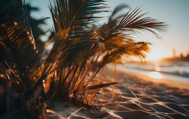 Widok palmy przed morzem