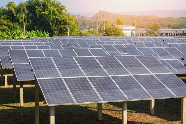 Widok paneli słonecznych w farmie słonecznej z zielonym oświetleniem drzewa i słońca odzwierciedla energię słoneczną lub energię odnawialną