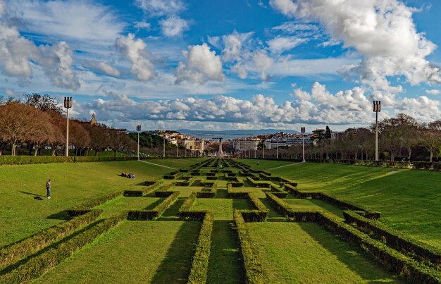 Zdjęcie widok panoramiczny pola na tle nieba