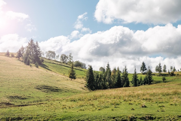 Widok panoramy pięknego krajobrazu górskiego z lasem iglastym na paśmie górskim z zalesionymi zboczami łąk pokrytych trawą chmury na niebieskim niebie w słoneczny dzień Ekoturystyka