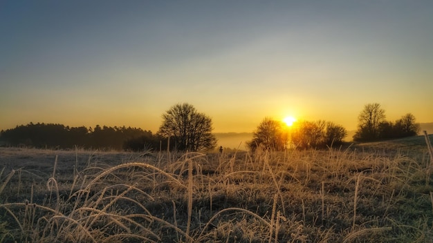 Widok pola na tle nieba podczas zachodu słońca