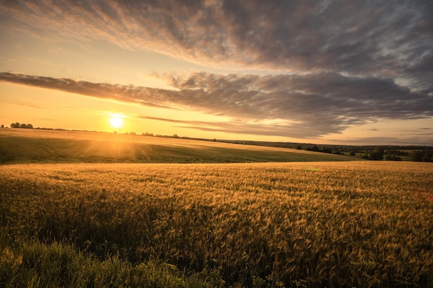 Widok pola na tle nieba podczas zachodu słońca