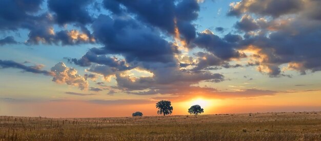 Widok pola na tle nieba podczas zachodu słońca