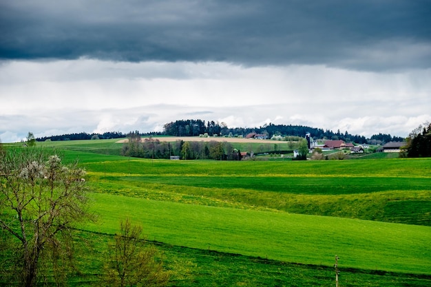 Widok pola rolniczego na tle nieba