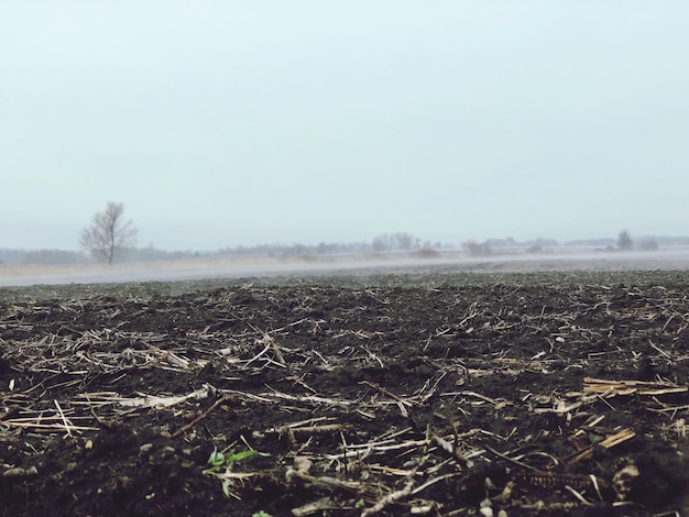 Zdjęcie widok pola rolniczego na tle nieba