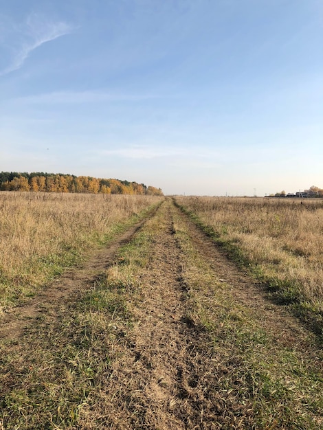 Widok pola rolniczego na tle nieba