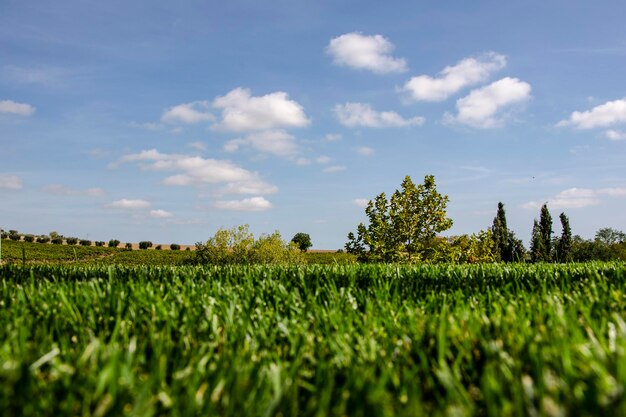 Zdjęcie widok pola rolniczego na tle nieba