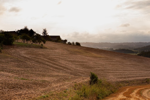 Widok pola wzdłuż francuskiego szlaku Chemin du Puy drogi św. Jakuba